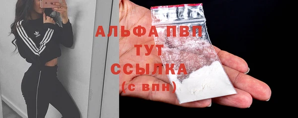 сатива Армянск