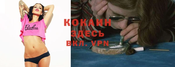 ешки Аркадак