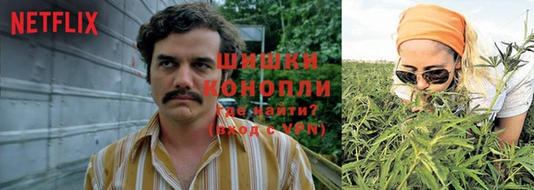 сатива Армянск