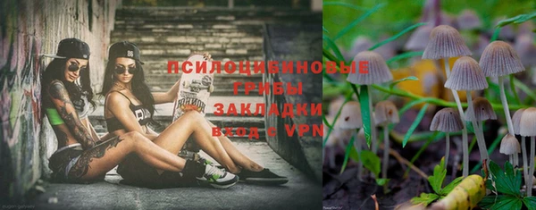 ешки Аркадак