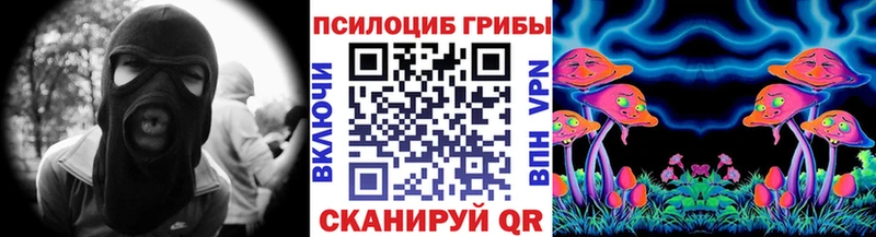 наркотики гидра зеркало Псилоцибиновые грибы Psilocybine cubensis Орлов
